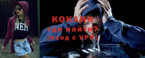 ГАЛЛЮЦИНОГЕННЫЕ ГРИБЫ Михайлов