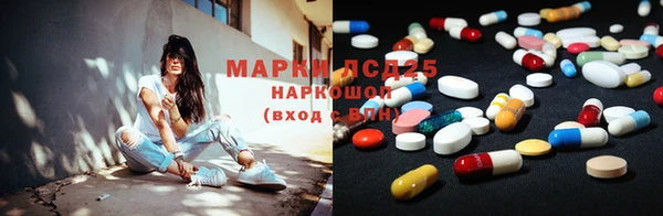 ГАЛЛЮЦИНОГЕННЫЕ ГРИБЫ Михайлов