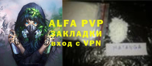 ГАЛЛЮЦИНОГЕННЫЕ ГРИБЫ Михайлов