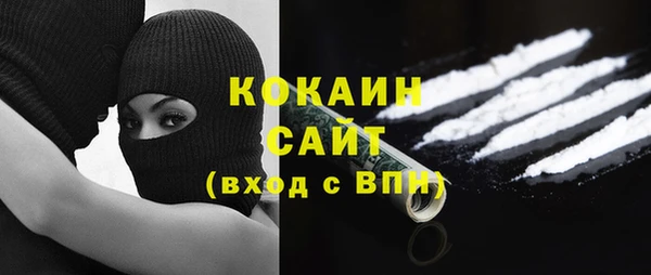 ГАЛЛЮЦИНОГЕННЫЕ ГРИБЫ Михайлов